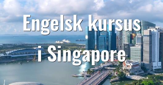 Facebook Share Box bybillede