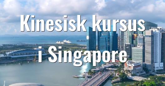 Facebook Share Box bybillede