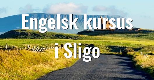 Facebook Share Box bybillede