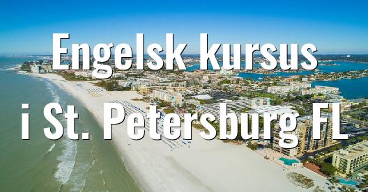 Facebook Share Box bybillede