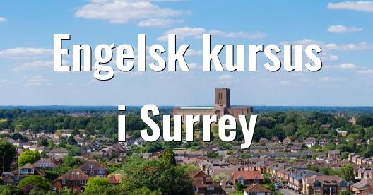 Facebook Share Box bybillede