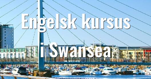 Facebook Share Box bybillede