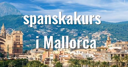 Facebook delningsbox stadssida