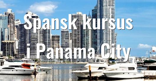 Facebook Share Box bybillede