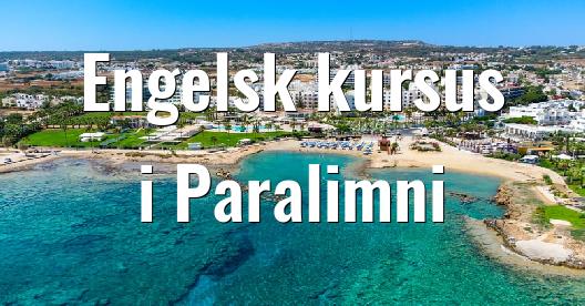 Facebook Share Box bybillede