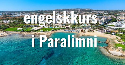 Facebook delingsboks bybilde