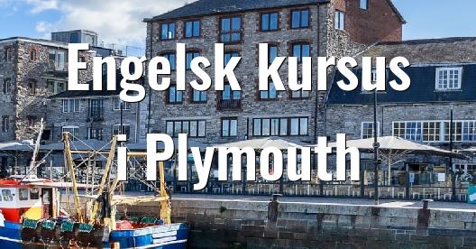 Facebook Share Box bybillede