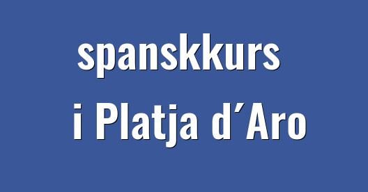 Facebook delingsboks bybilde