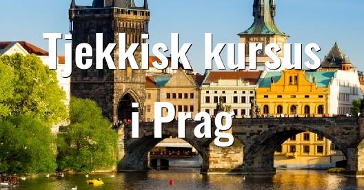 Facebook Share Box bybillede