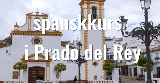 Facebook delingsboks bybilde