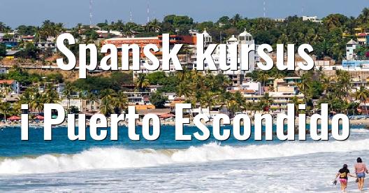 Facebook Share Box bybillede