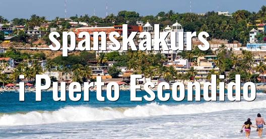 Facebook delningsbox stadssida