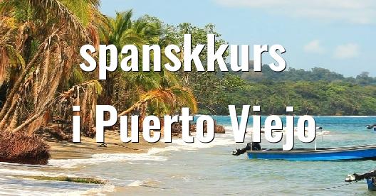 Facebook delingsboks bybilde