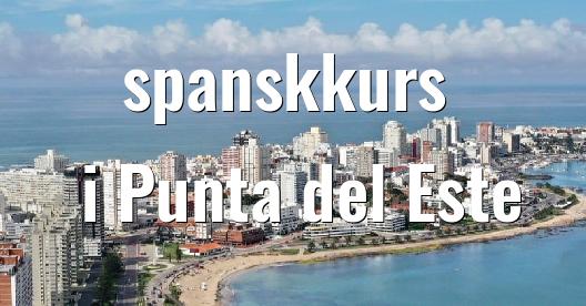 Facebook delingsboks bybilde