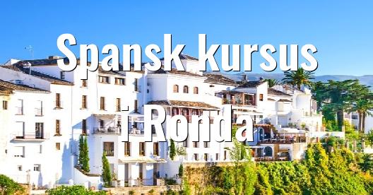 Facebook Share Box bybillede