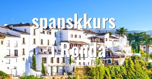 Facebook delingsboks bybilde