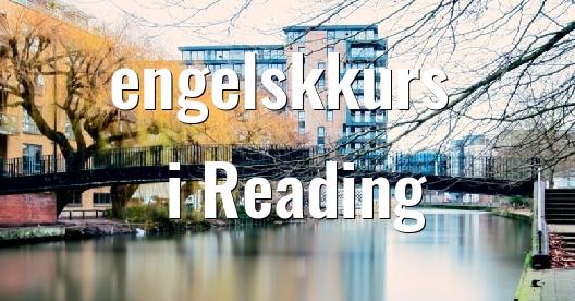 Facebook delingsboks bybilde