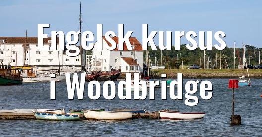 Facebook Share Box bybillede