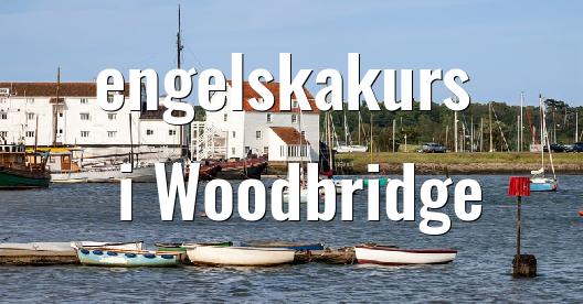 Facebook delningsbox stadssida