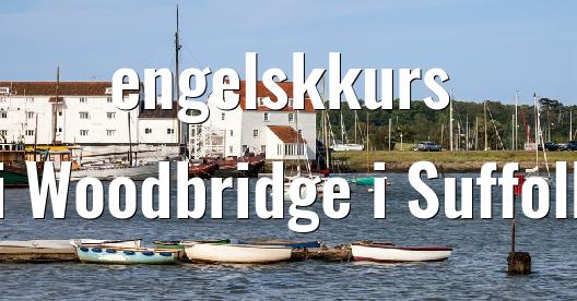 Facebook delingsboks bybilde