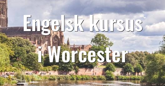 Facebook Share Box bybillede