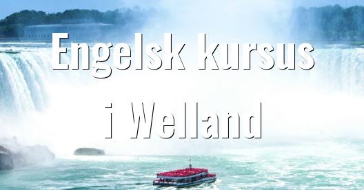 Facebook Share Box bybillede