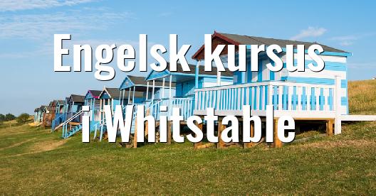 Facebook Share Box bybillede