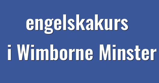 Facebook delningsbox stadssida