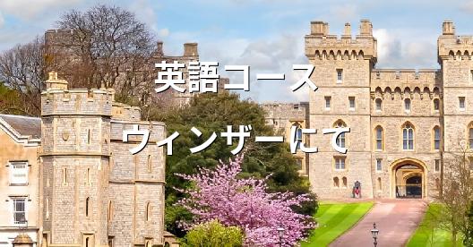 Facebook共有ボックスの都市イメージ