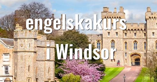 Facebook delningsbox stadssida