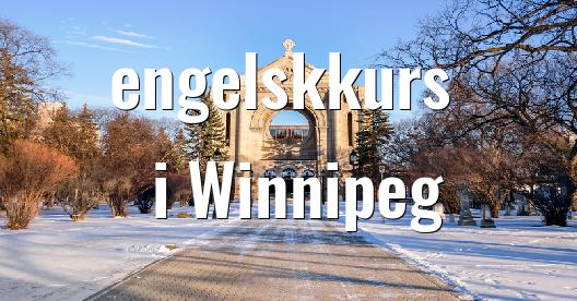 Facebook delingsboks bybilde