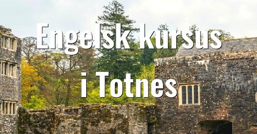 Facebook Share Box bybillede