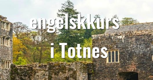 Facebook delingsboks bybilde