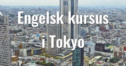 Facebook Share Box bybillede