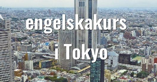 Facebook delningsbox stadssida