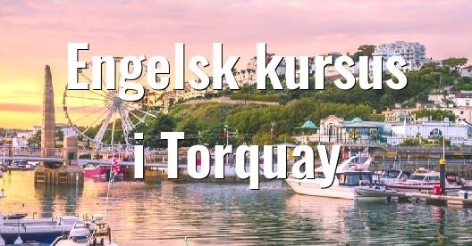 Facebook Share Box bybillede