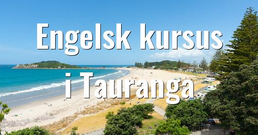 Facebook Share Box bybillede