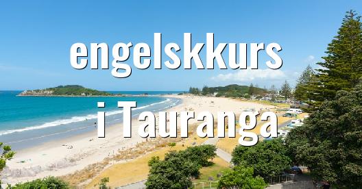 Facebook delingsboks bybilde