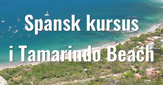 Facebook Share Box bybillede