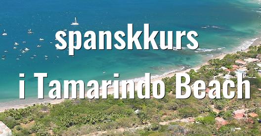 Facebook delingsboks bybilde