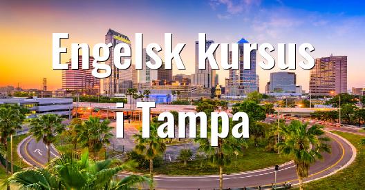 Facebook Share Box bybillede