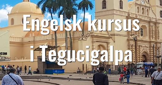 Facebook Share Box bybillede