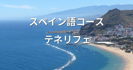 Facebook共有ボックスの都市イメージ