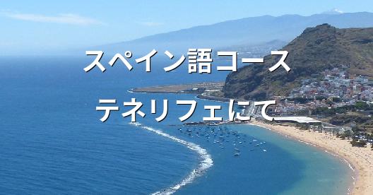 Facebook共有ボックスの都市イメージ