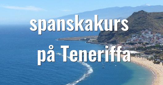 Facebook delningsbox stadssida