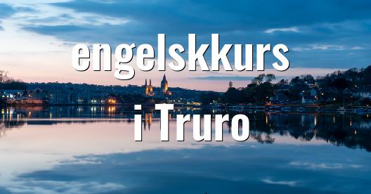 Facebook delingsboks bybilde