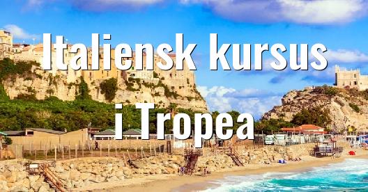 Facebook Share Box bybillede