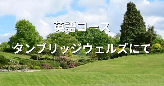 Facebook共有ボックスの都市イメージ