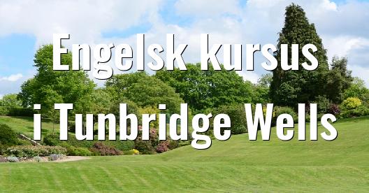 Facebook Share Box bybillede