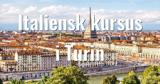 Facebook Share Box bybillede